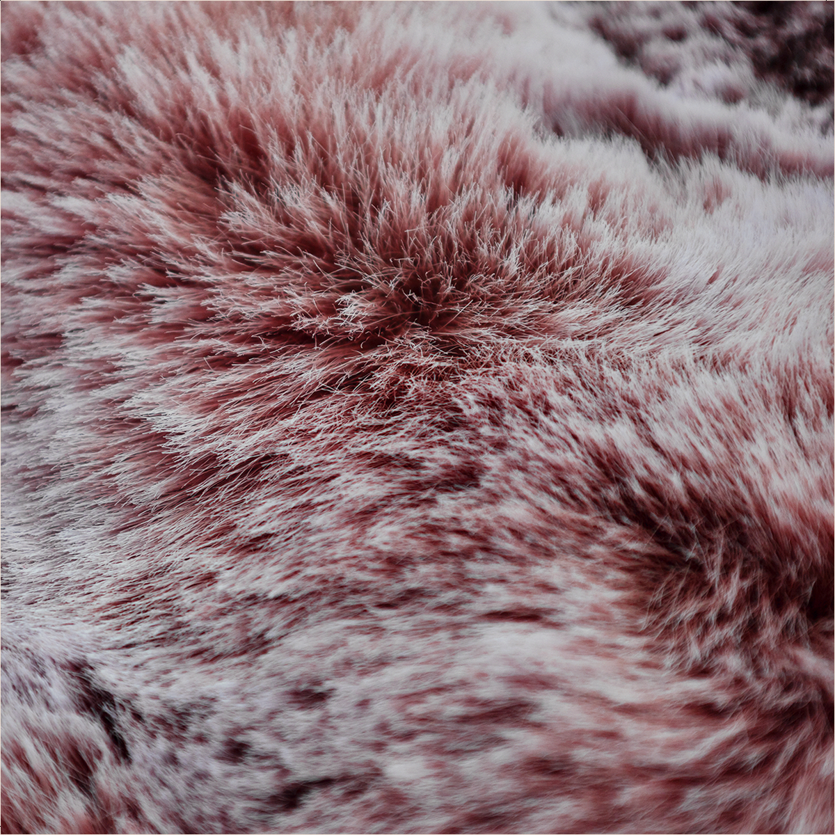 Kleding, Bont, Kat, Zoogdier, Huisdier