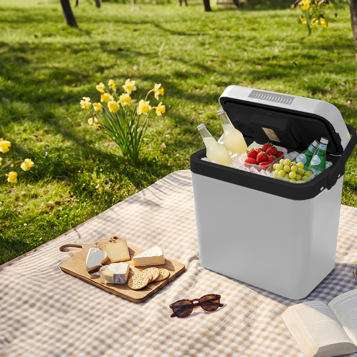 koelbox, koelkast, ijsklontjes, frisdrank, fruit
