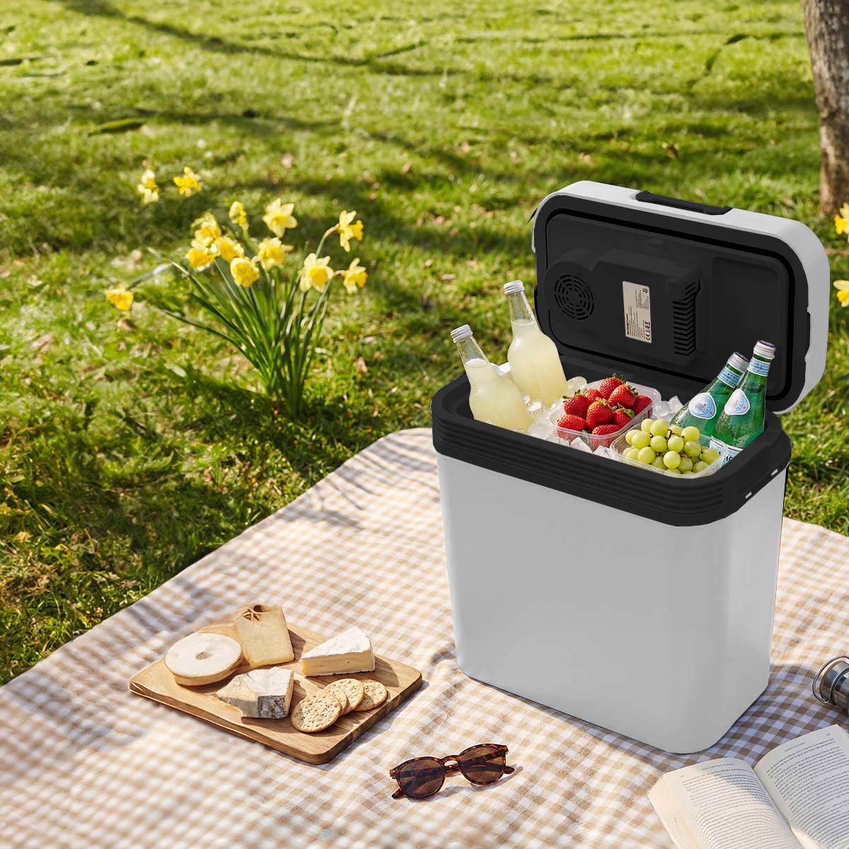 koelbox, mini koelkast, lunchbox, fruitset, drankjes