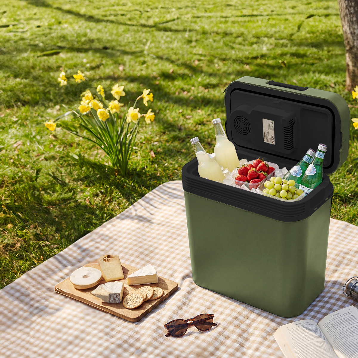 koelkast, picknick, frisdrank, fruit, boterhammen