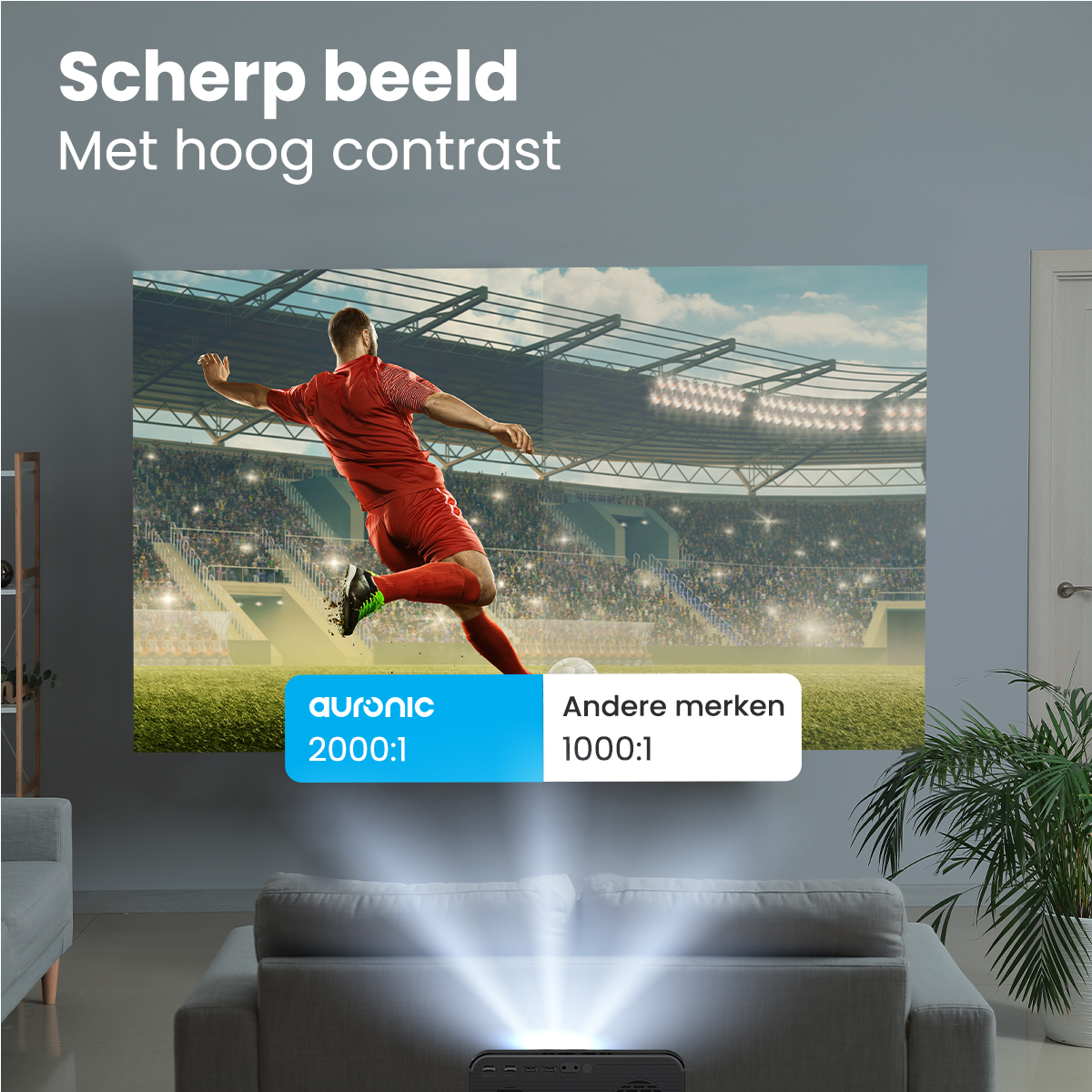 Advertentie, Persoon, Bank, Schoen, Plant