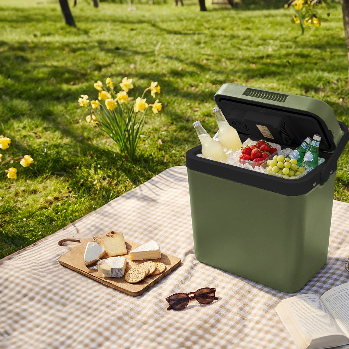 koelbox, picknick, ijs, drankjes, fruit