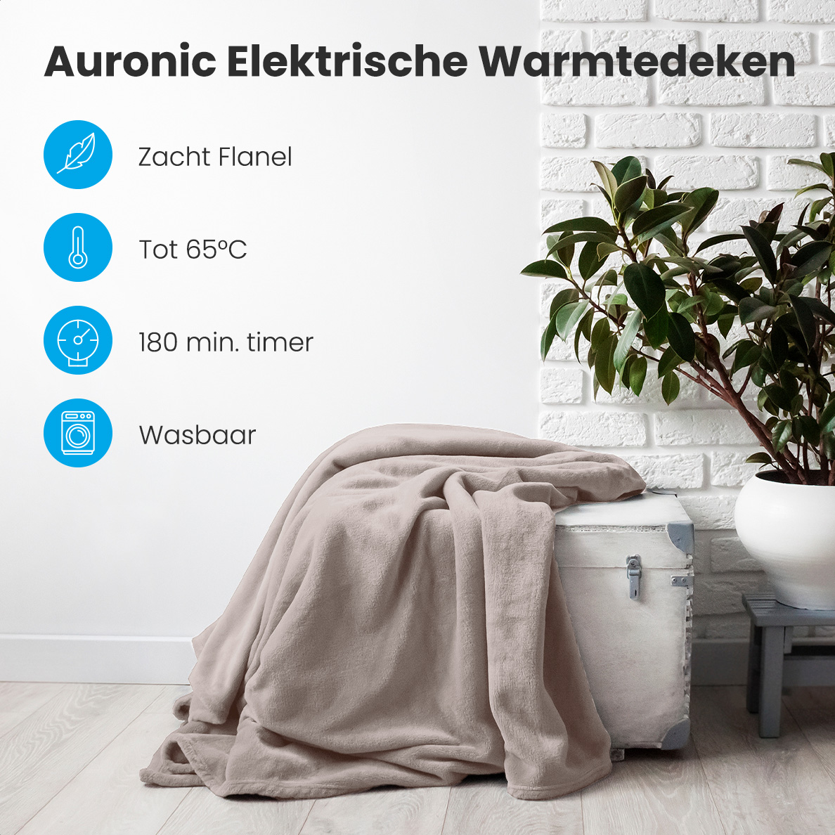 Plant, Potplant, Deken